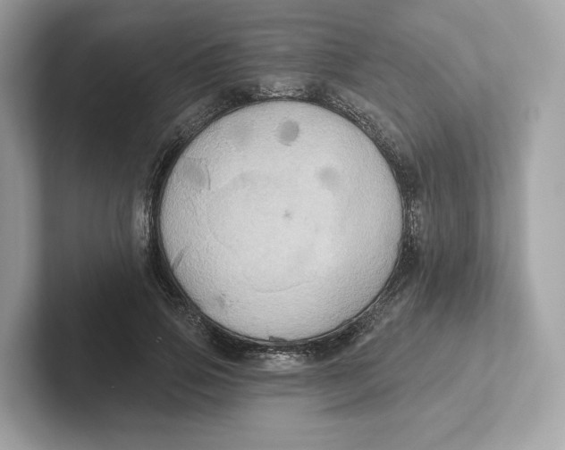 X0000101450741200807280939