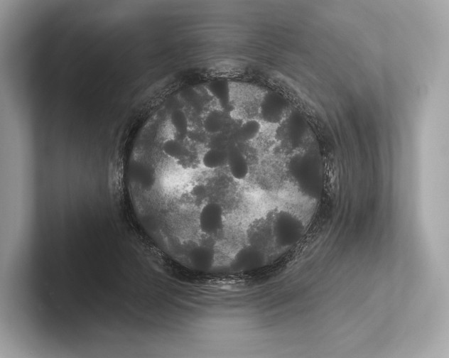 X0000101450745200807280939