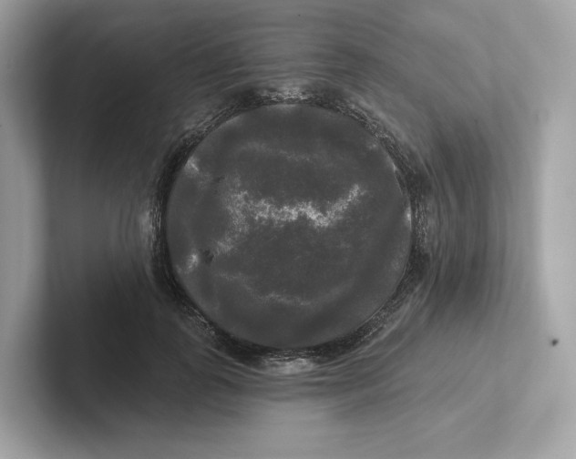 X0000101450747200807280939