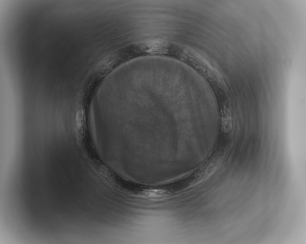 X0000101450748200807280939