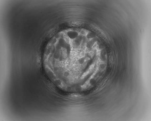 X0000101450749200807280939