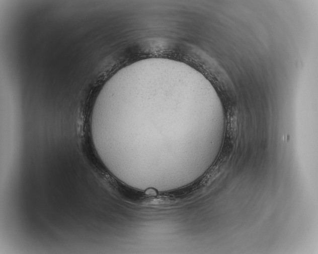 X0000101450750200807280939