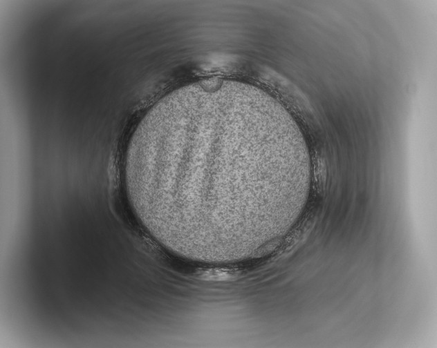 X0000101450751200807280939