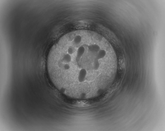 X0000101450753200807280939