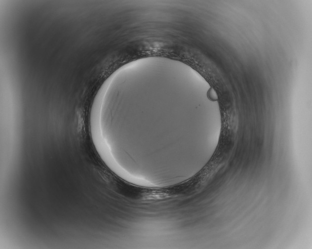 X0000101450754200807280939