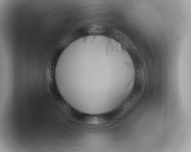 X0000101450755200807280939