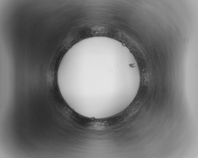 X0000101450756200807280939