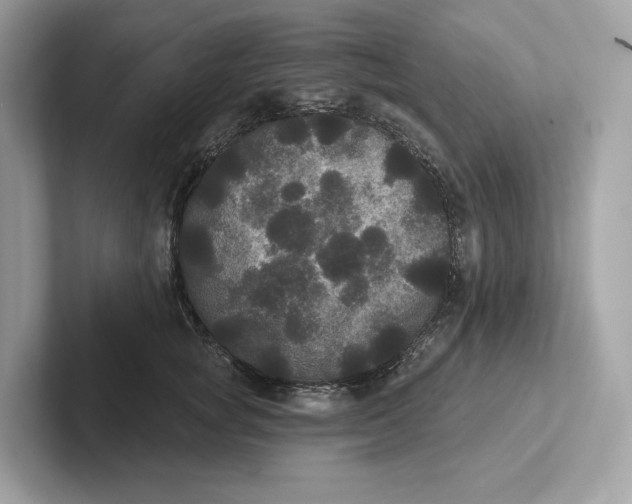 X0000101450757200807280939