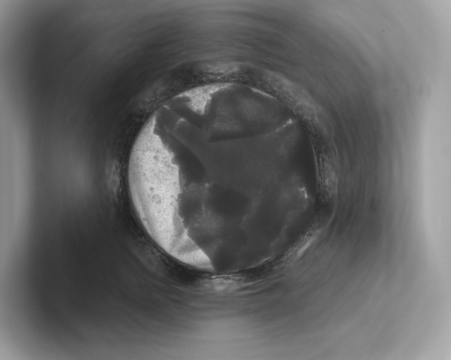 X0000101450758200807280939