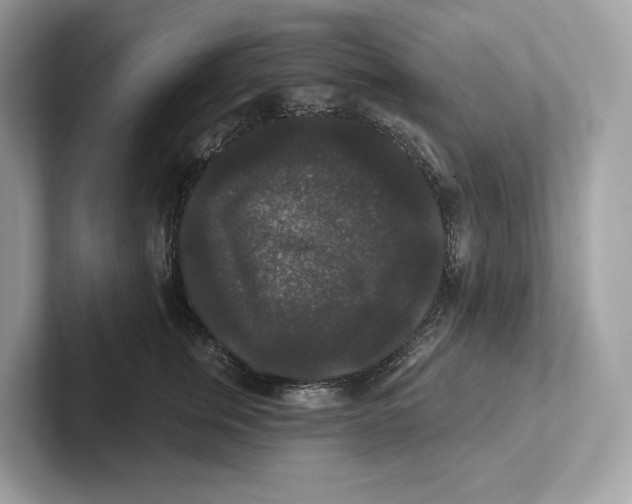 X0000101450759200807280939