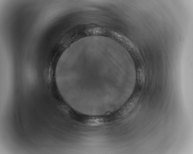 X0000101450760200807280939