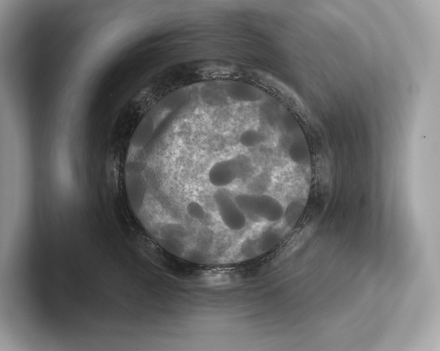 X0000101450761200807280939