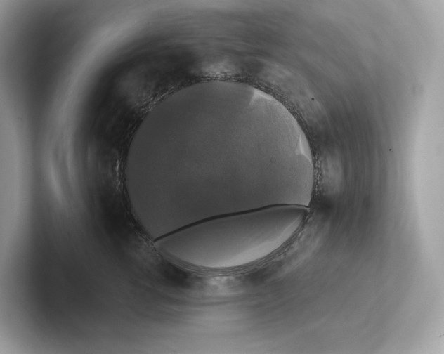 X0000101450762200807280939