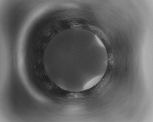 X0000101450763200807280939