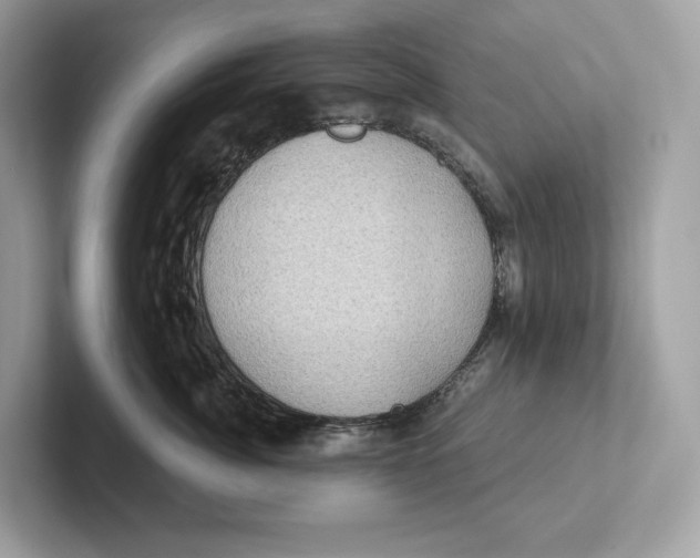 X0000101450764200807280939