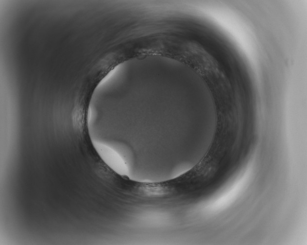 X0000101450767200807280939