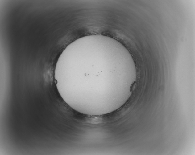 X0000101450768200807280939