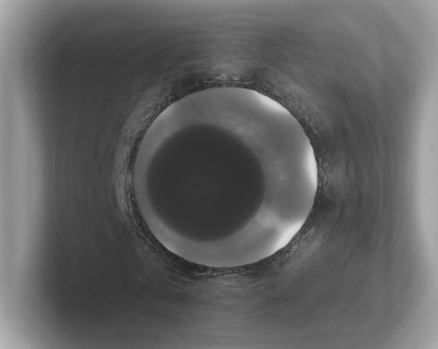 X0000101450769200807280939