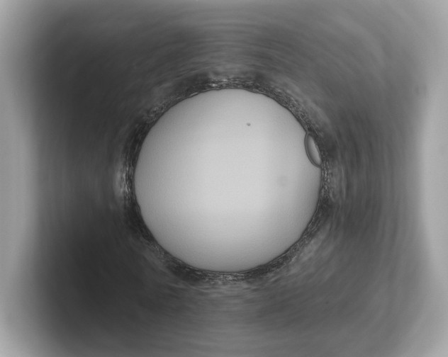 X0000101450770200807280939