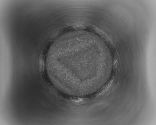 X0000101450772200807280938