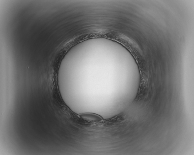 X0000101450773200807280938