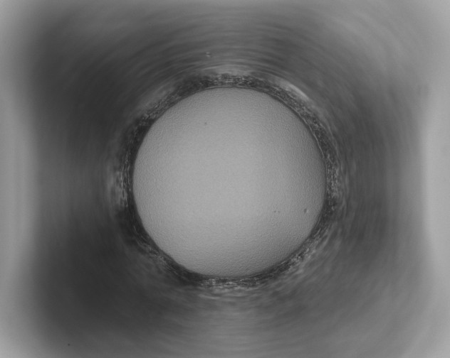 X0000101450774200807280938