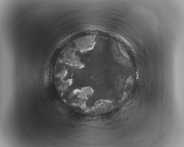 X0000101450775200807280938