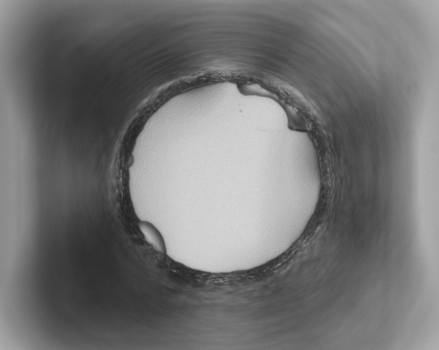 X0000101450776200807280938