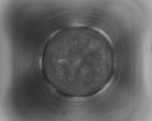 X0000101450777200807280938