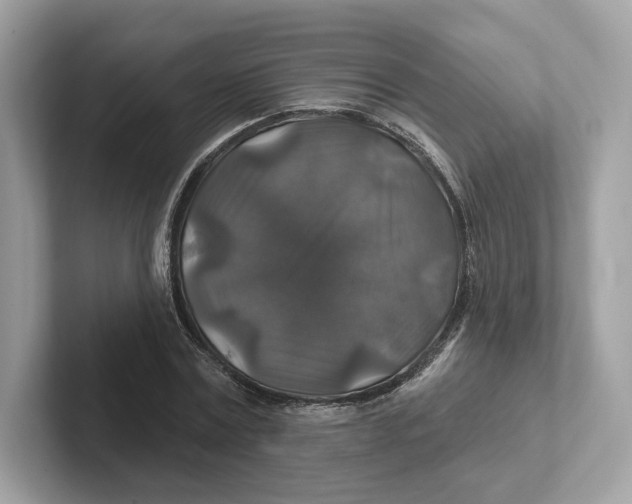 X0000101450779200807280938