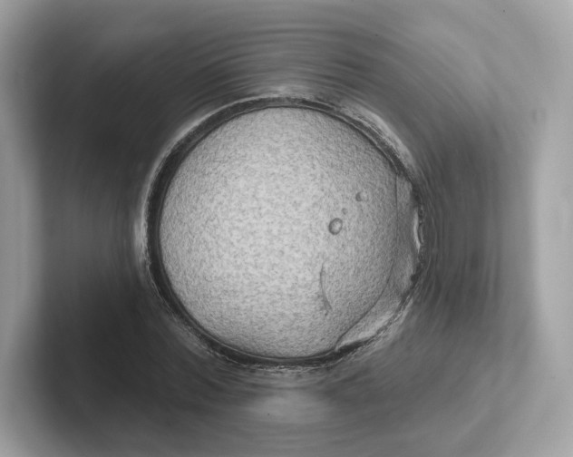 X0000101450780200807280938