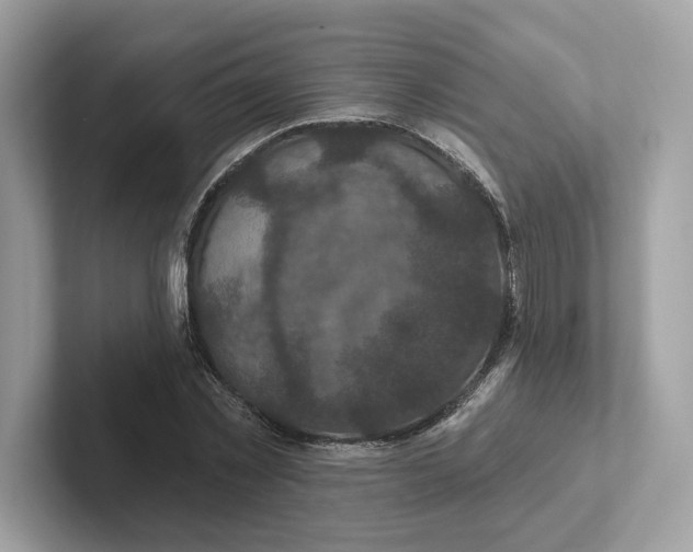 X0000101450781200807280938