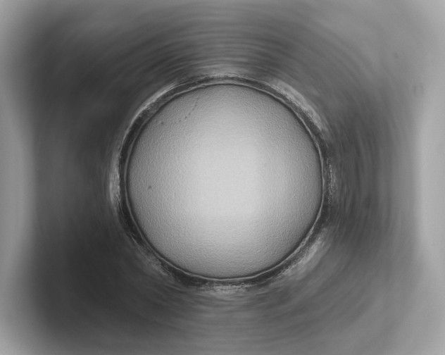 X0000101450782200807280938