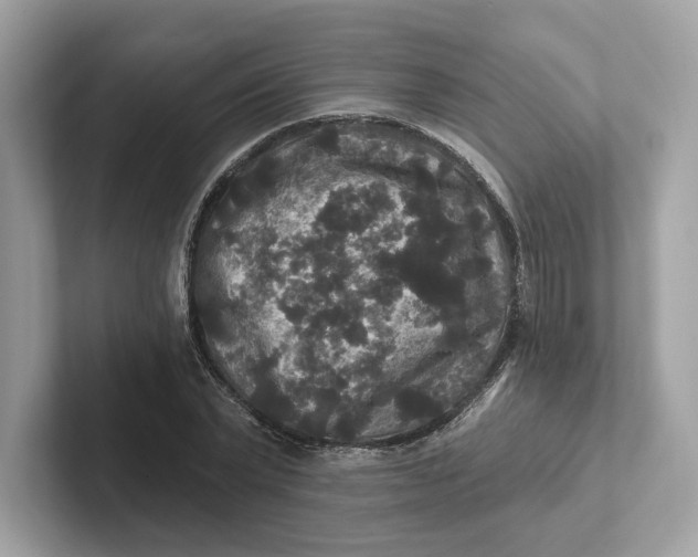 X0000101450783200807280938