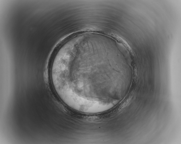 X0000101450784200807280938