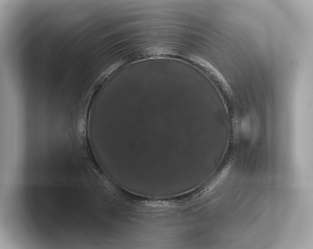 X0000101450785200807280938