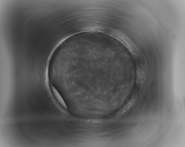 X0000101450788200807280938