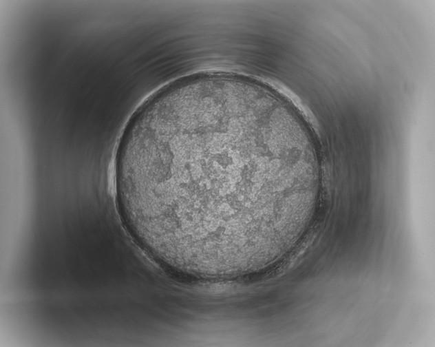 X0000101450791200807280938