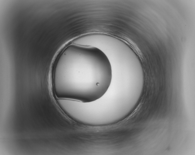 X0000101450796200807280938