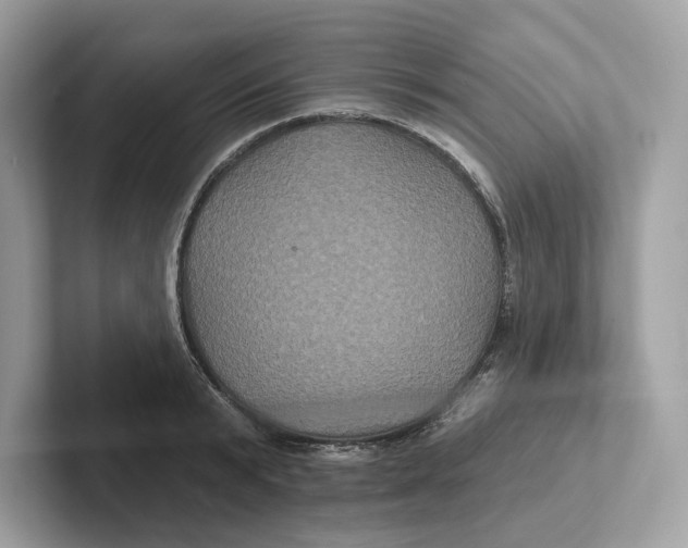 X0000101450799200807280938