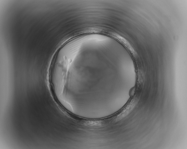 X0000101450802200807280938