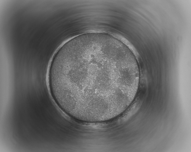 X0000101450803200807280938