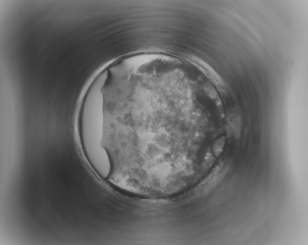 X0000101450804200807280938