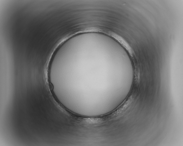 X0000101450805200807280938