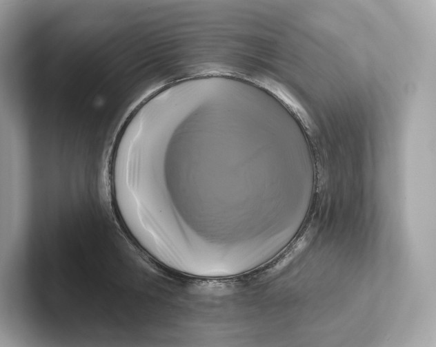 X0000101450806200807280938