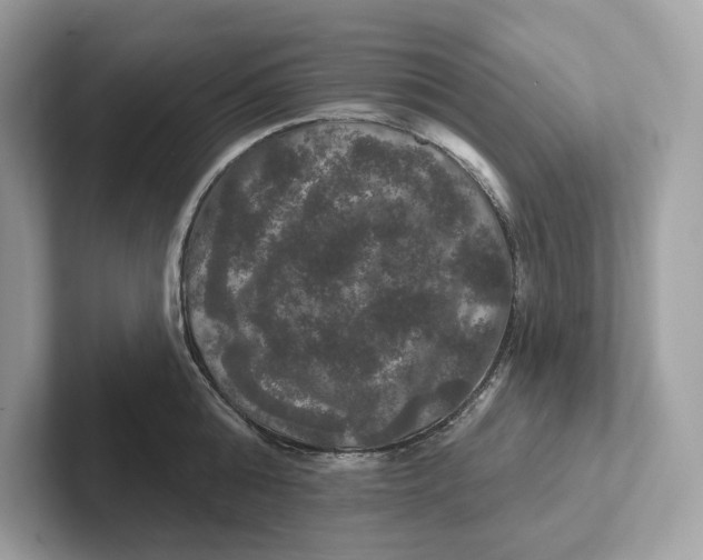 X0000101450808200807280938