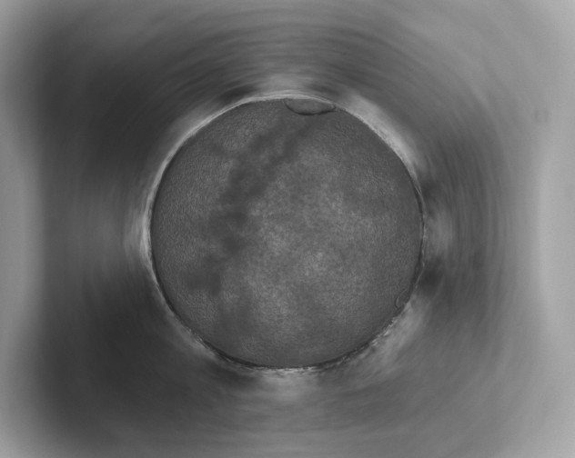 X0000101450813200807280938