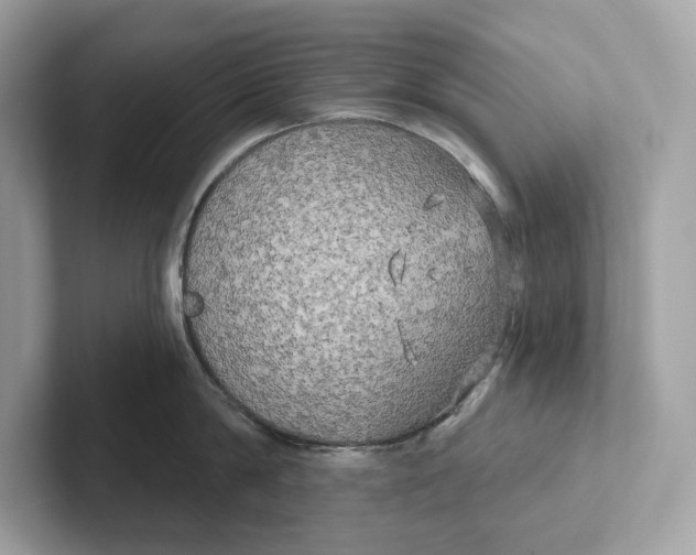 X0000101450814200807280938