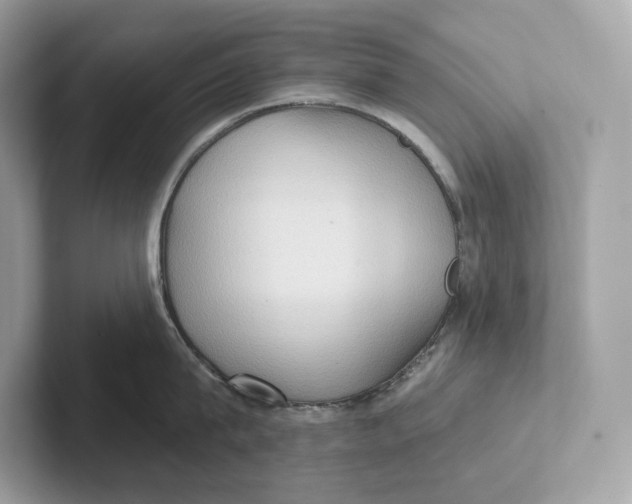 X0000101450815200807280938