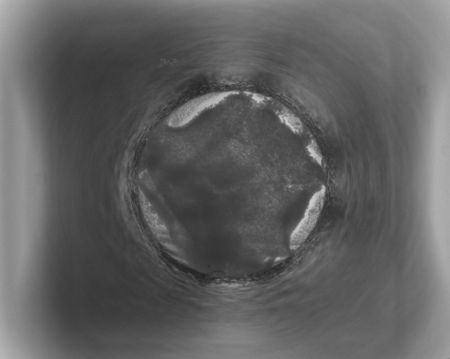 X0000101450817200807280937